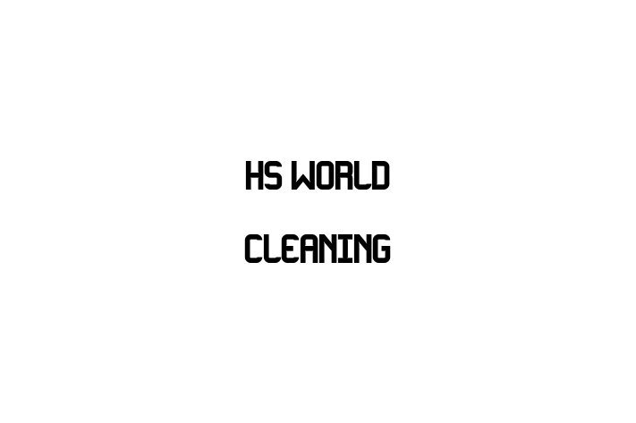 HS World Cleaning