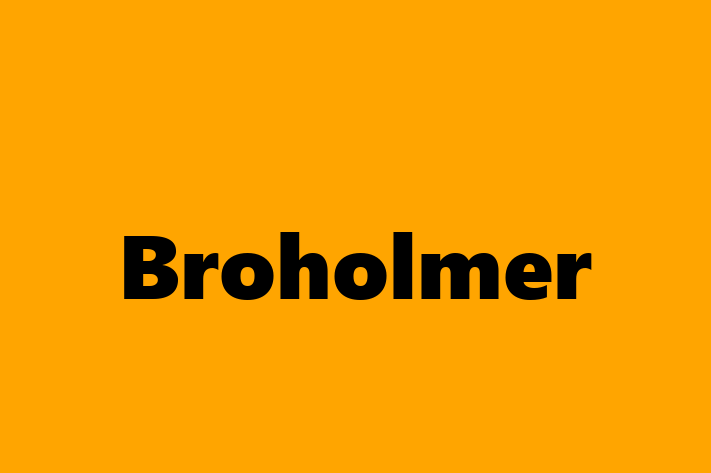 Dog Broholmer for Sale in Hull