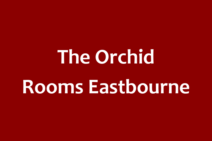 The Orchid Rooms Eastbourne