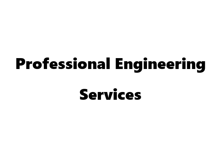 Professional Engineering Services