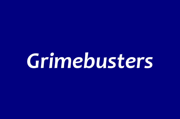 Grimebusters