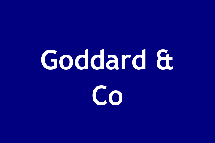 Goddard & Co