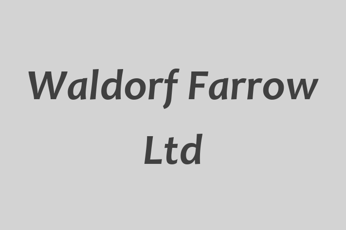 Waldorf Farrow Ltd