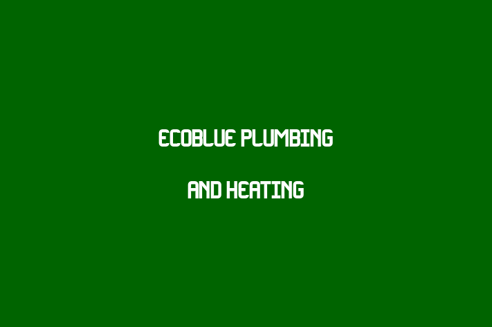 EcoBlue Plumbing and Heating