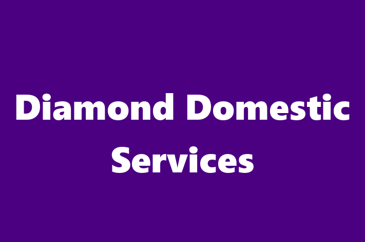 Diamond Domestic Services