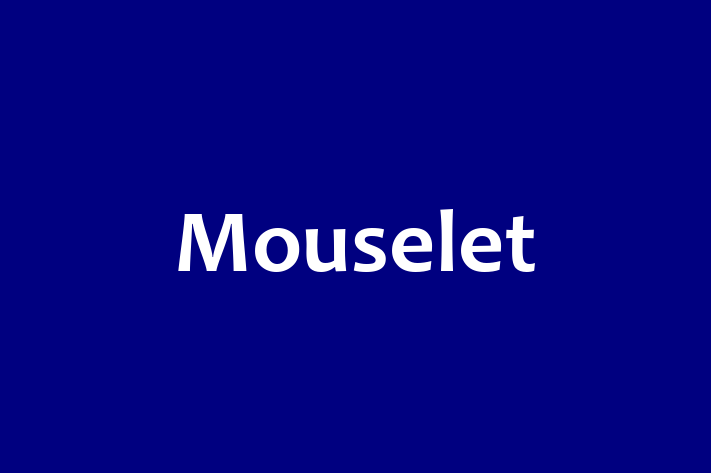 Mouselet