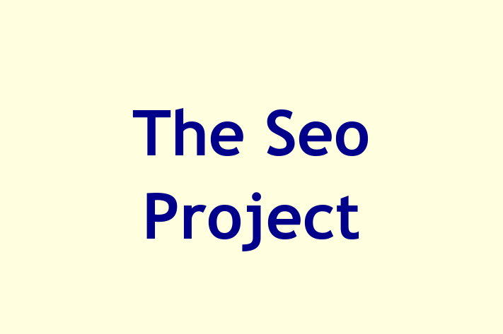 The Seo Project