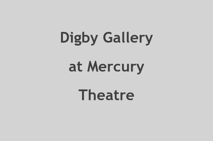 Digby Gallery at Mercury Theatre