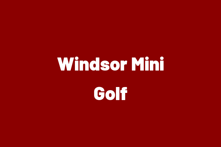 Windsor Mini Golf