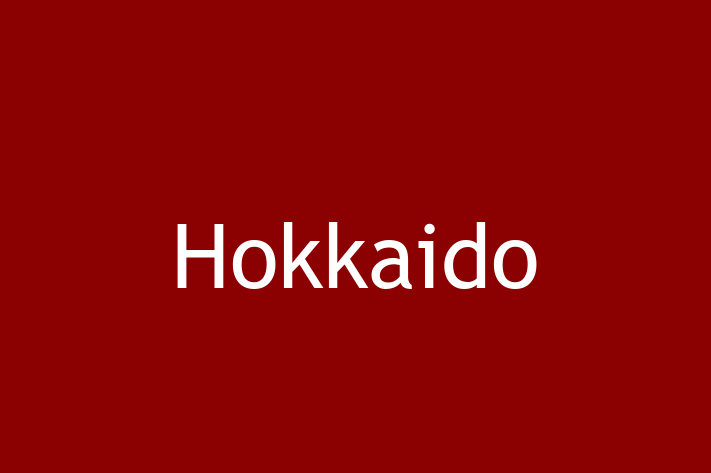 Hokkaido Dog for Sale in Coalville