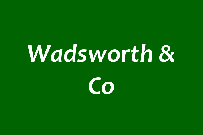 Wadsworth & Co