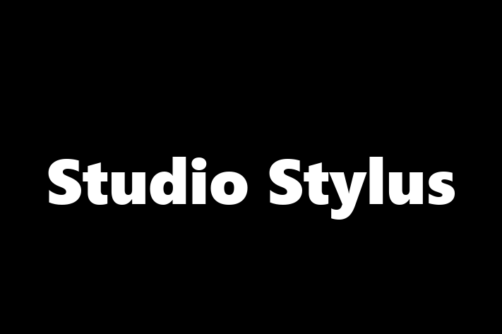 Studio Stylus