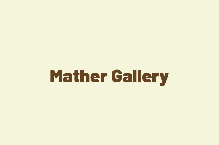 Mather Gallery