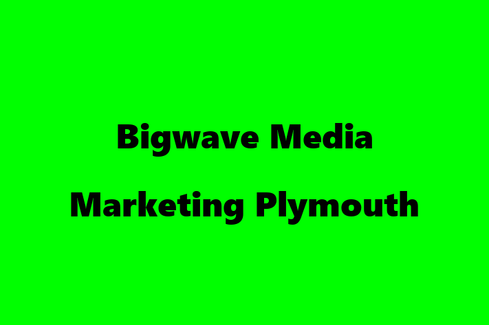 Bigwave Media Marketing Plymouth