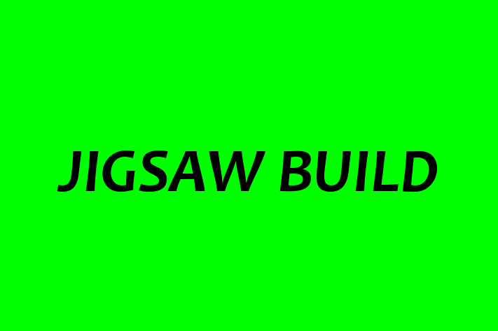 JIGSAW BUILD