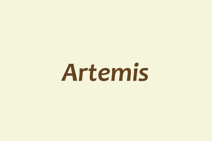 Artemis