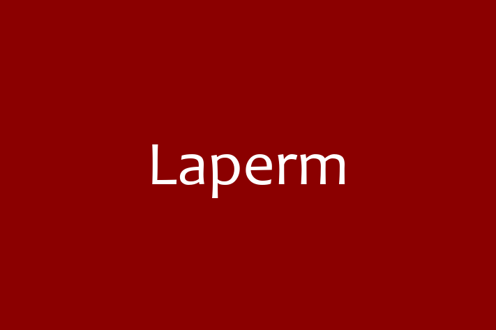 Laperm Cat for Sale in Taunton