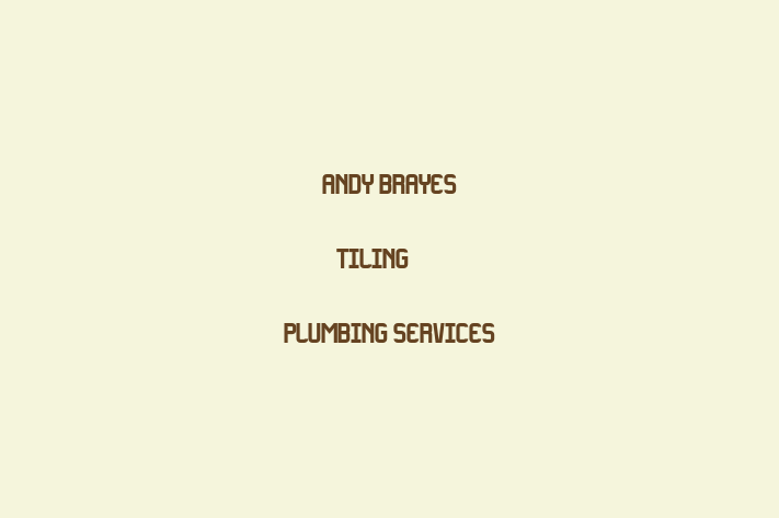 Andy Brayes Tiling & Plumbing Services