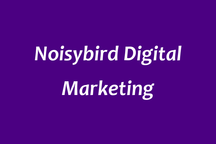 Noisybird Digital Marketing