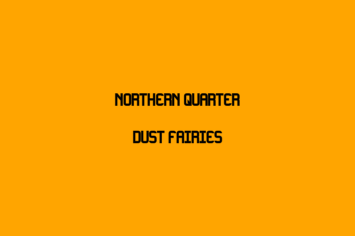 Northern Quarter Dust Fairies