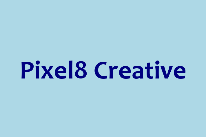 Pixel8 Creative