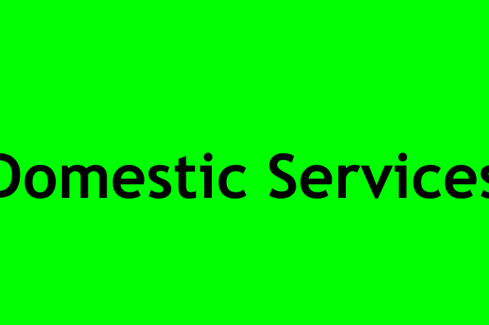 Domestic Services