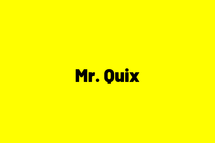 Mr  Quix