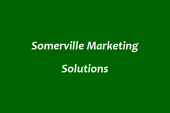 Somerville Marketing Solutions