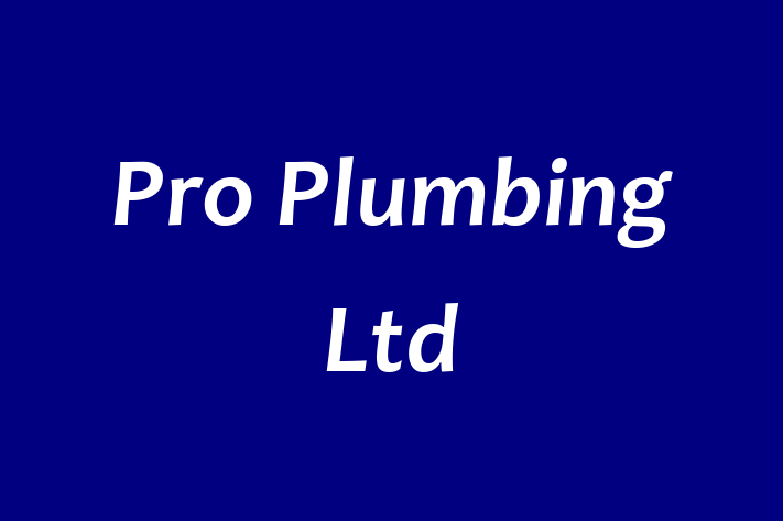 Pro Plumbing Ltd