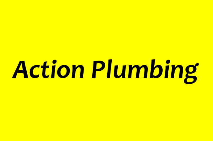 Action Plumbing