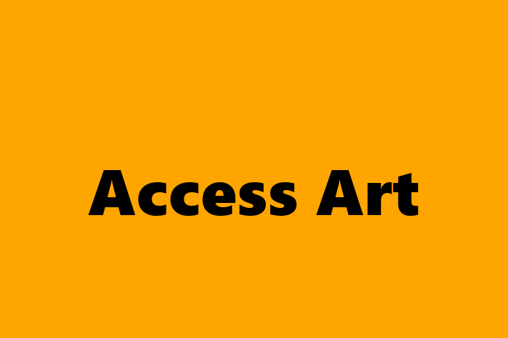 Access Art