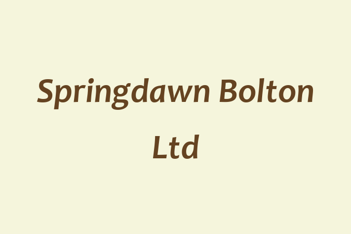 Springdawn Bolton Ltd