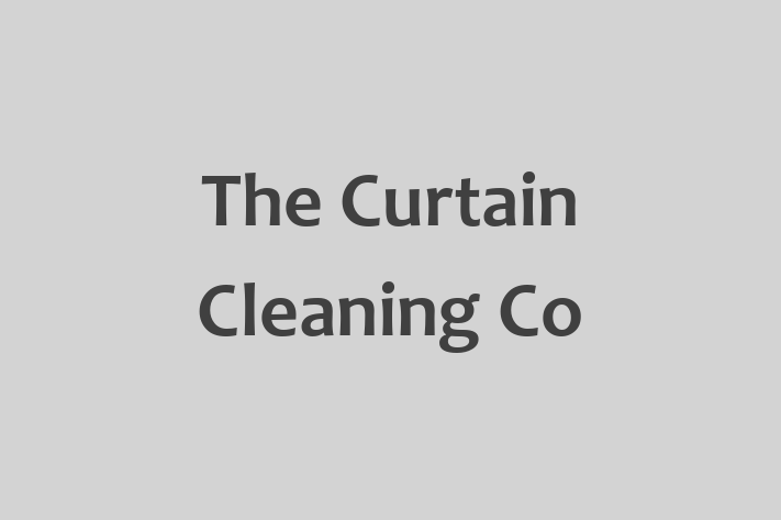 The Curtain Cleaning Co