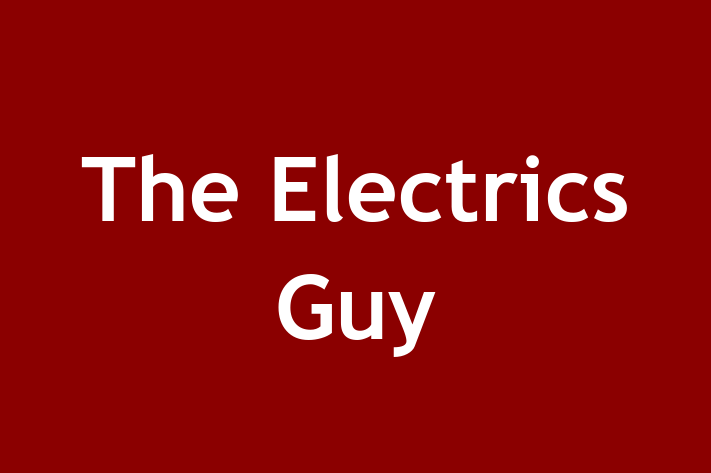 The Electrics Guy