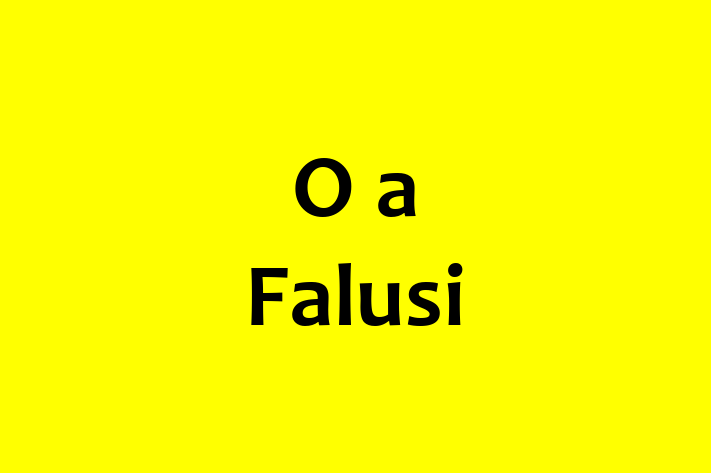 O a Falusi