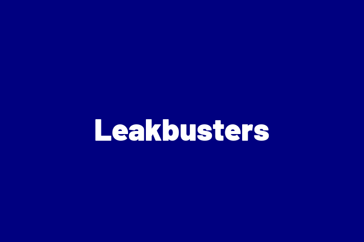 Leakbusters