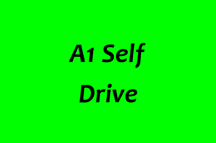 A1 Self Drive