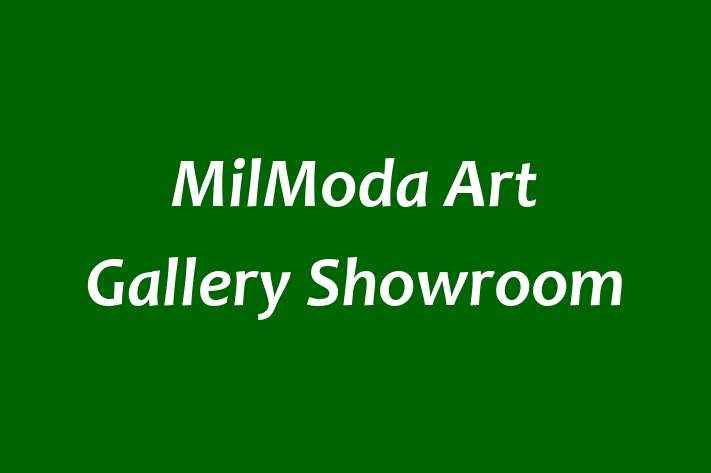 MilModa Art Gallery Showroom