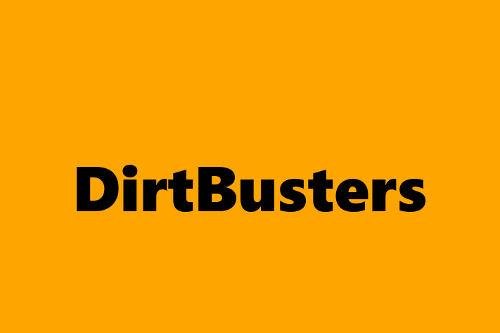 DirtBusters