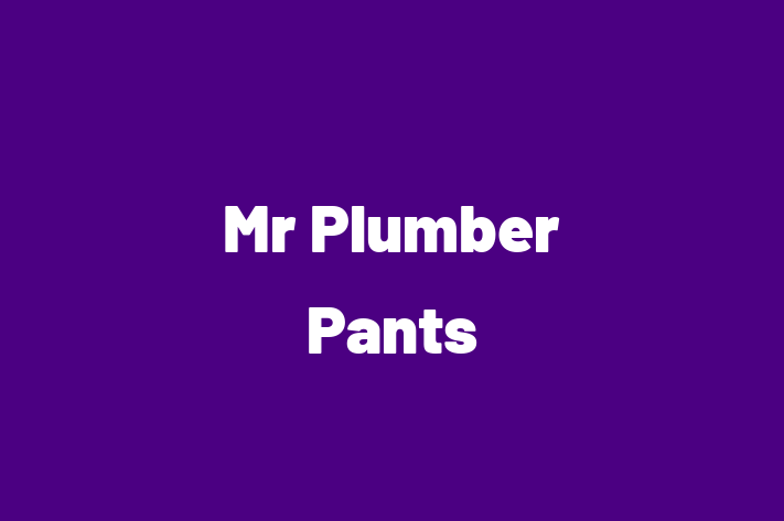 Mr Plumber Pants