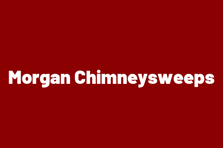 Morgan Chimneysweeps