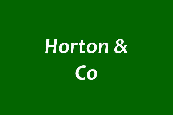 Horton & Co