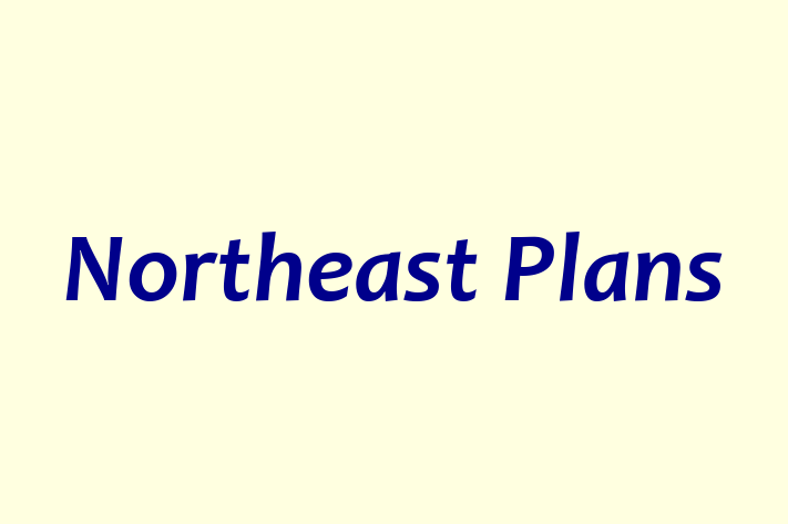 Northeast Plans