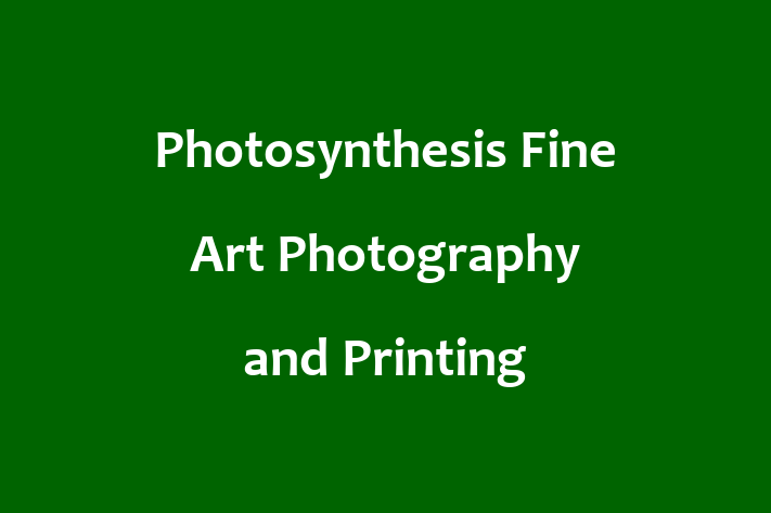 Photosynthesis Fine Art Photography and Printing