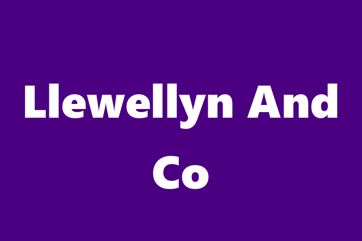 Llewellyn And Co