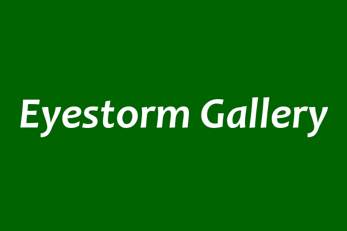 Eyestorm Gallery