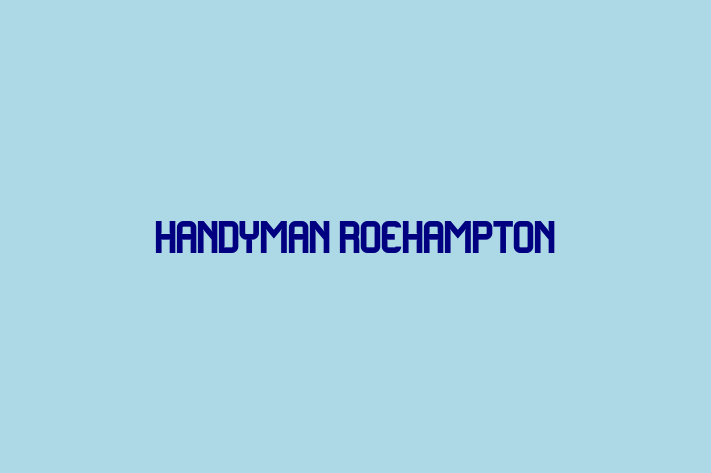 Handyman Roehampton