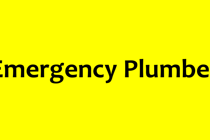 Emergency Plumber