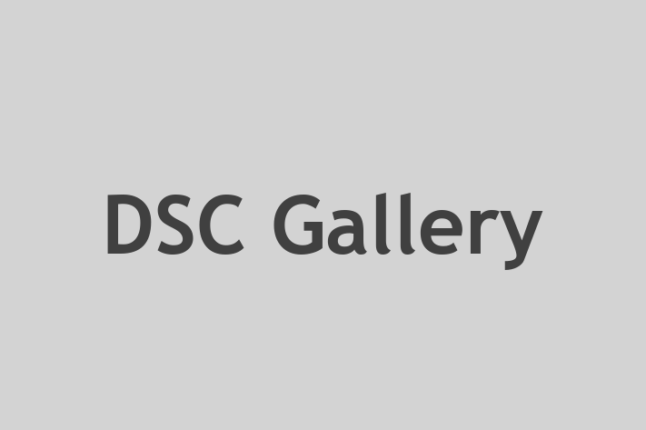 DSC Gallery