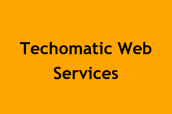 Techomatic Web Services